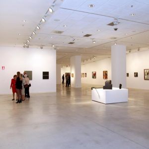 Acte inauguració de l'exposició Col·lecció Bassat 1947-1979. Centre d'Art de Alcobendas, Madrid 1