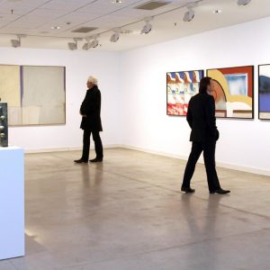 Acte inauguració de l'exposició Col·lecció Bassat 1947-1979. Centre d'Art de Alcobendas, Madrid 6