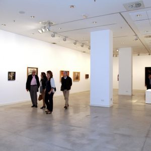 Acte inauguració de l'exposició Col·lecció Bassat 1947-1979. Centre d'Art de Alcobendas, Madrid 4